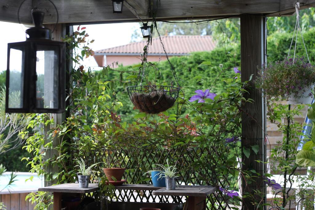 Calme Et Nature, Ba Gujan-Mestras Pokoj fotografie