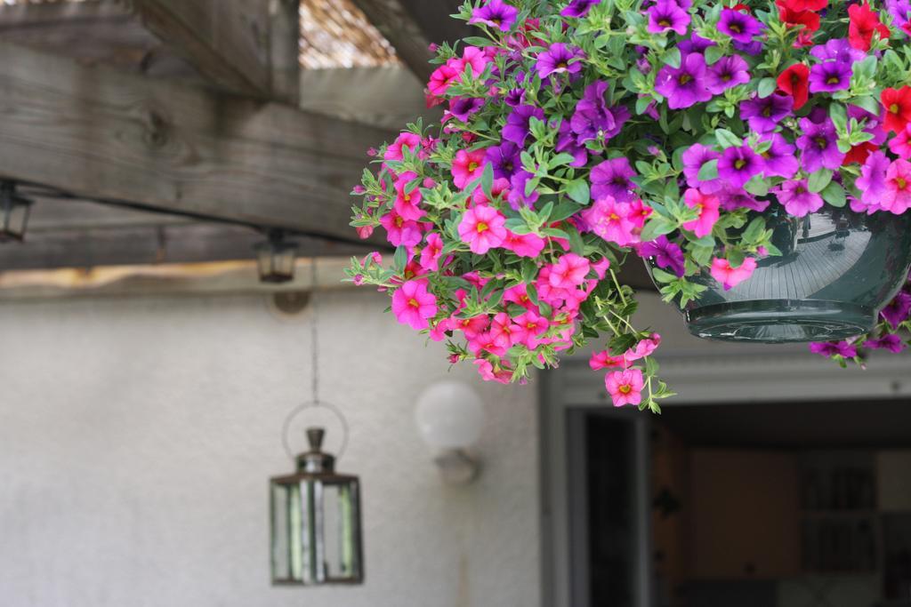 Hotel Calme Et Nature, Ba Gujan-Mestras Pokoj fotografie